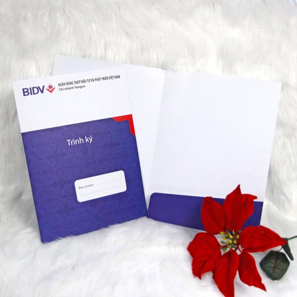 testhome 41 Túi giấy cao cấp Brown Thomas